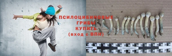 мескалин Алексеевка