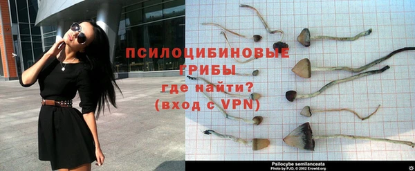 мет Алексин
