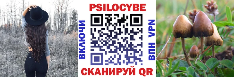 Галлюциногенные грибы мухоморы  купить  сайты  Истра 